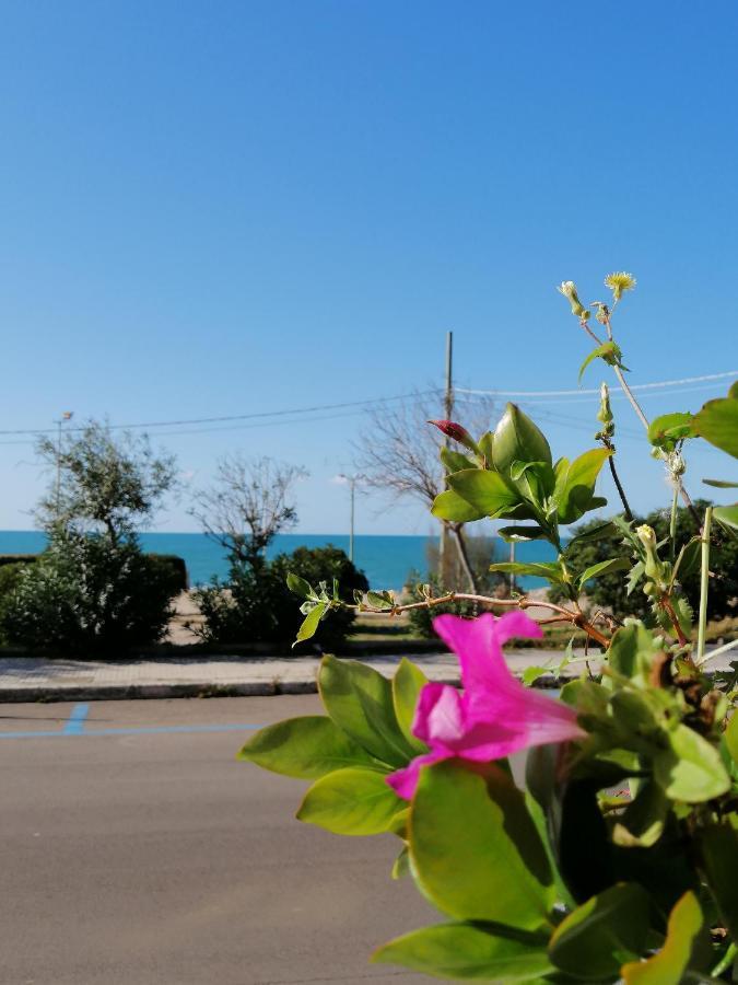 B&B Mareen Santa Maria al Bagno Exterior foto